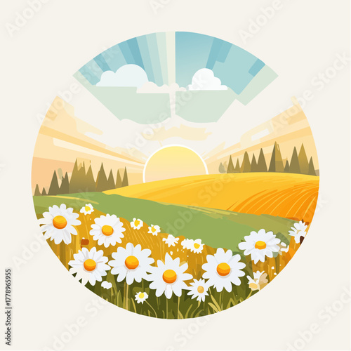 Late summer country landscape with daisies meadow and sunbeam