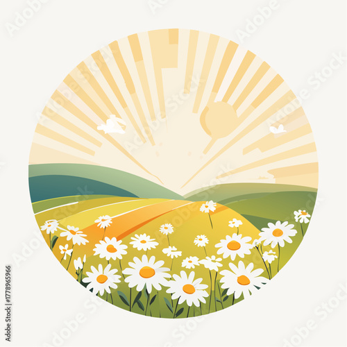 Late summer country landscape with daisies meadow and sunbeam