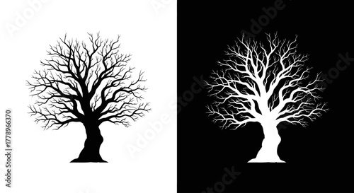 Two contrasting silhouettes of a bare, leafless tree, one black on a white background and its negative image in white on black.