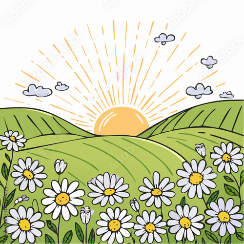 Late summer country landscape with daisies meadow and sunbeam