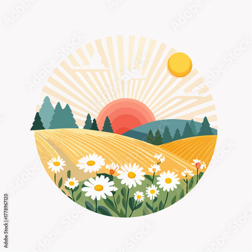 Late summer country landscape with daisies meadow and sunbeam