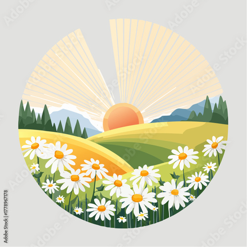 Late summer country landscape with daisies meadow and sunbeam