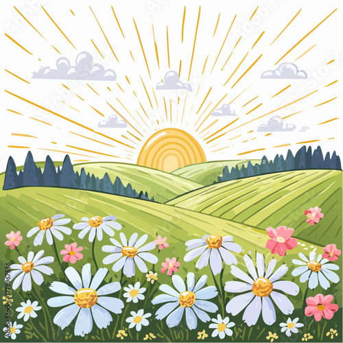 Late summer country landscape with daisies meadow and sunbeam