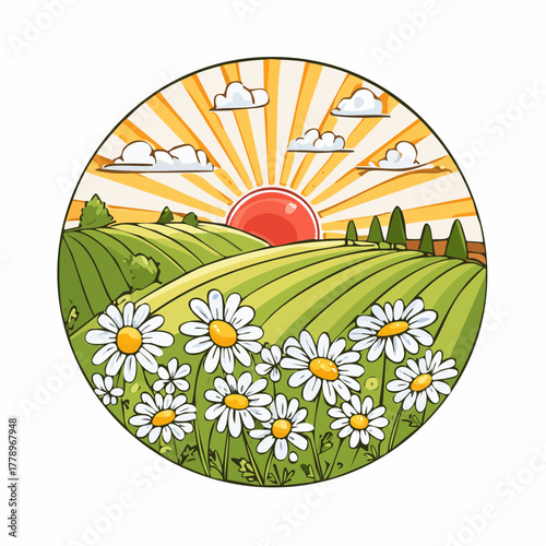 Late summer country landscape with daisies meadow and sunbeam