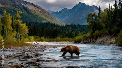 Majestic brown bear wading through a scenic river in a mountain valley