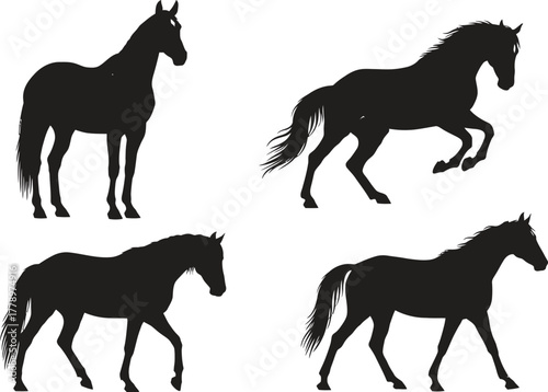 Four horse illustrations in various poses on a white background art