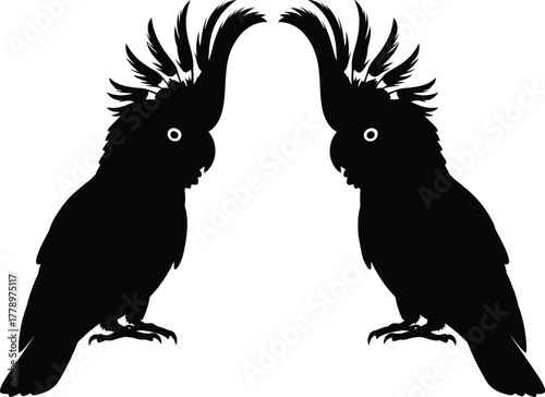Two black cockatoos facing each other in silhouette on white background