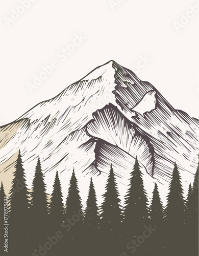 Hand drawn mountain range with pine trees in black and white illustration