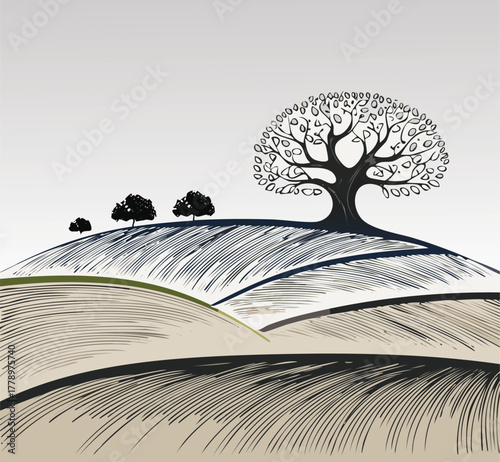 Solitary tree on a rolling hill landscape with a serene and peaceful vibe