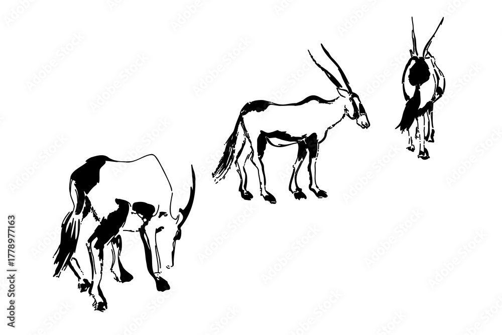 Fototapeta premium A decorative art print of an oryx in a contemporary line and shape style. Combines abstract forms with recognizable animal features for a unique wall art piece.
