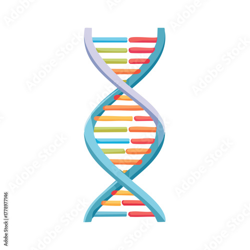 DNAの二重螺旋構造のベクターイラスト