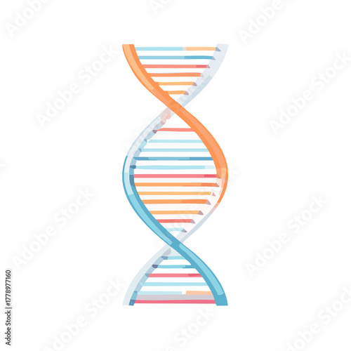 DNAの二重螺旋構造のベクターイラスト