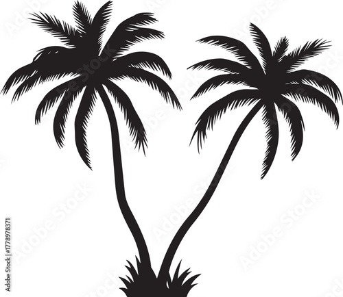 Tropical Palm Tree Silhouette Bundle