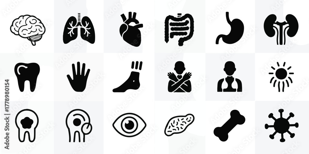 Naklejka premium Minimalist black and white medical vector icons, 18 silhouettes in 2-row grid, precise anatomy brain, heart, lungs, stomach, liver, kidneys, eye, ear, hand, foot, virus, professional, clean, modern.