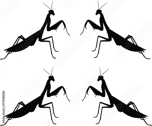 Four praying mantis silhouettes arranged symmetrically on a white back
