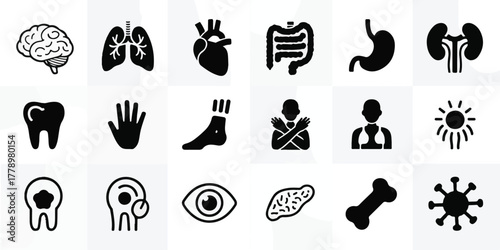 Minimalist black and white medical vector icons, 18 silhouettes in 2-row grid, precise anatomy brain, heart, lungs, stomach, liver, kidneys, eye, ear, hand, foot, virus, professional, clean, modern.