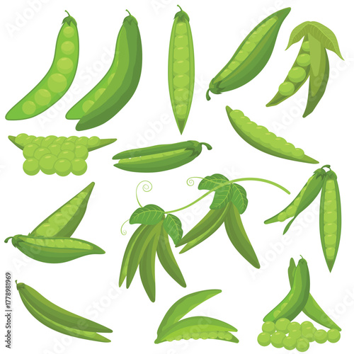 Green Peas and Pods Vector Illustration Set. Fresh Healthy Vegetable Collection. Food Ingredients.