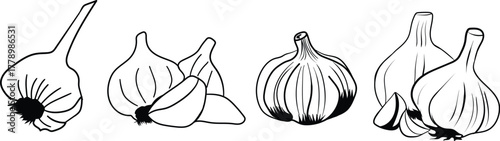 Garlic Bulbs and Cloves Vector Line Art Illustration Set. Black and White Outline Sketch of Whole and Peeled Allium Sativum for Cooking, Seasoning, and Health