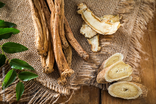 Chinese Herbal Roots Dangshen Angelica Astragalus Poster