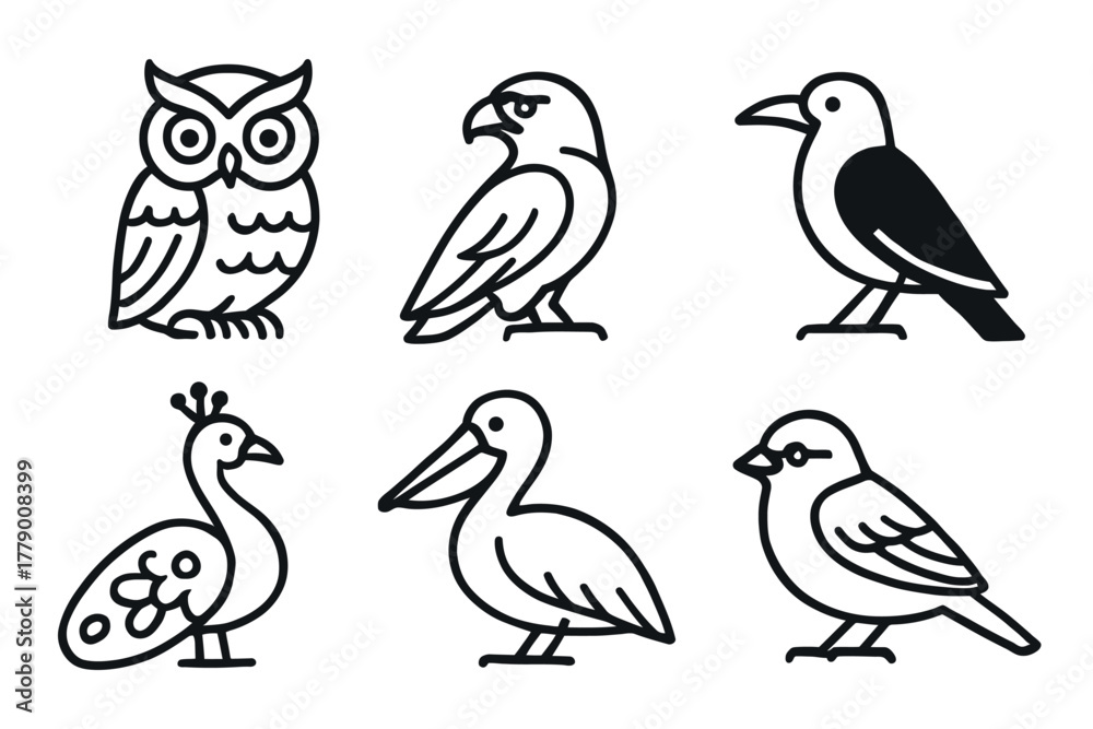 Fototapeta premium Collection of stylized bird icons: owl, eagle, crow, peacock, pelican, sparrow