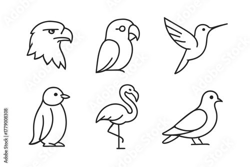 Simple black line art of various bird outlines featuring eagle, parrot, hummingbird, penguin, flamingo, dove