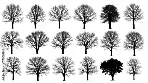 High-Quality Black Silhouette Collection of Diverse Tree Forms on White Background, Minimalist Grid Composition Featuring Deciduous and Evergreen Trees, Clean High-Contrast Illustrative Style