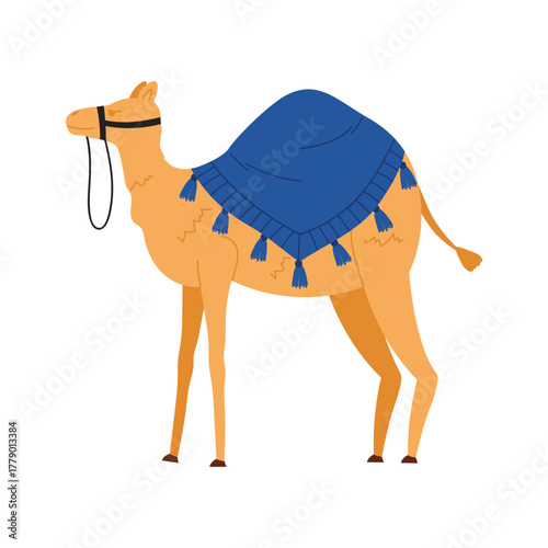 Cartoon camel with blue blanket isolated on white background, perfect for Egypt travel themes vector illustration