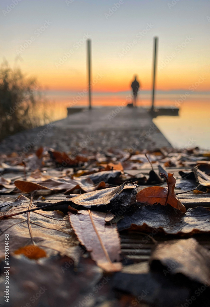 Fototapeta premium Jesienny, mglisty poranek nad jeziorem Goczałkowickim.