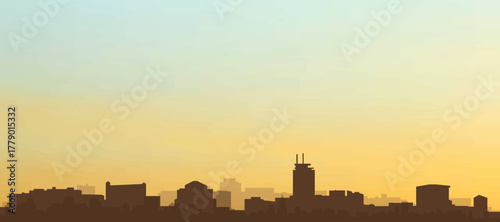Panoramic poster of the city skyline with misty background buildings, hills sunrise, sunset and clouds of MEXICO CITY, MEXICO