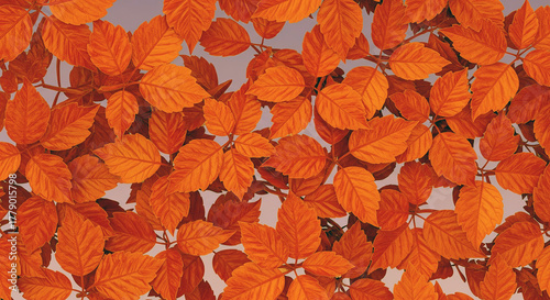 Pattern of dry maple leaves on a colorful background
