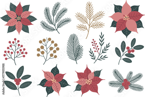 Hand Drawn Christmas Botanical Elements Vector Set, Poinsettia, Pine Branches, and Holly Berries Collection, Festive Foliage Design