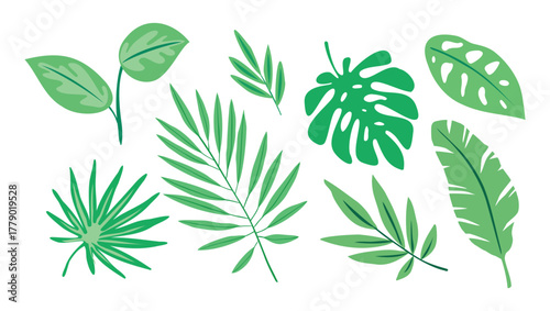 Bring the jungle to your designs! A versatile collection of tropical leaves and foliage, perfect for adding a lush, natural, and modern botanical touch to any project.