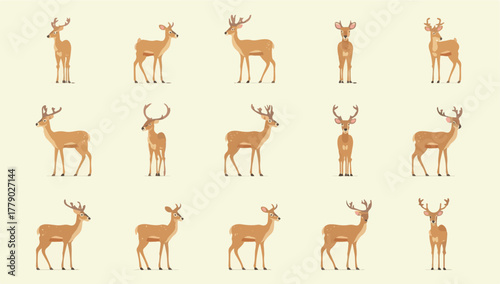 Vector illustration template featuring a deer with multiple models displayed in a flat design style, incorporating bold lines, minimal shading