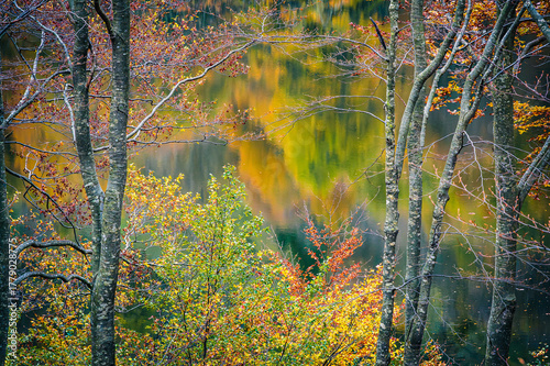Autumn magic in the Julian Alps. Resia Valley, the woods on the border between Italy and Slovenia.
