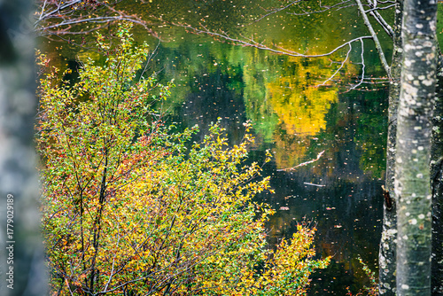 Autumn magic in the Julian Alps. Resia Valley, the woods on the border between Italy and Slovenia.