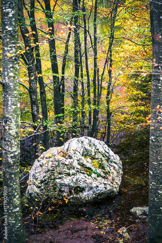 Autumn magic in the Julian Alps. Resia Valley, the woods on the border between Italy and Slovenia.