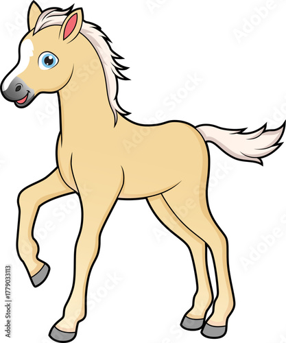 Cute walking foal horse