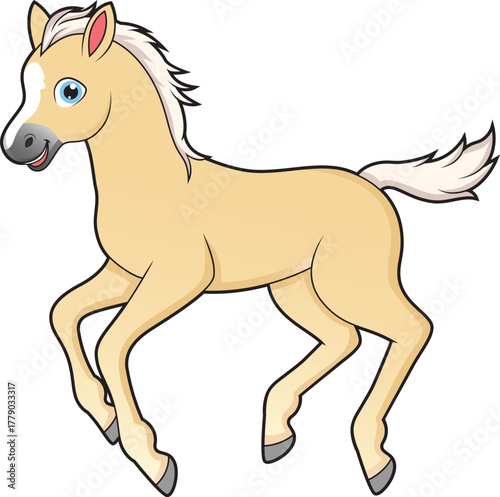Cute galloping foal horse