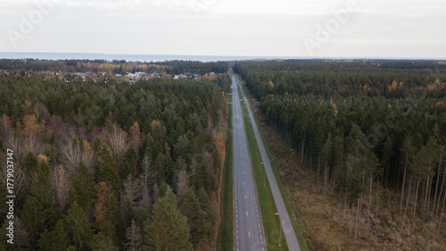 aero view to autumn road