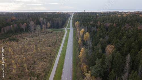 aero view to autumn road