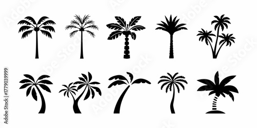 Collection of diverse black silhouette palm tree icons on a white background