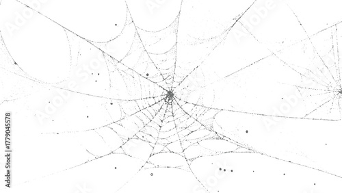 Intricate grey spider web with scattered dew drops on white background spiderweb insect