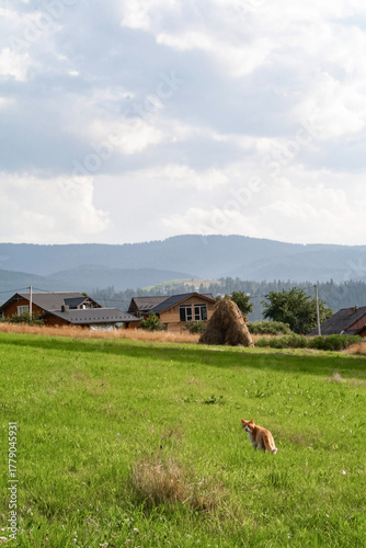 Vorohta Carpathian Mountains Landscape with Historic Viaduct and Traditional Wooden Architecture