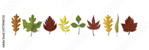 Abstract bright leaves of various shapes. Autumn season cartoon doodle elements collection.
