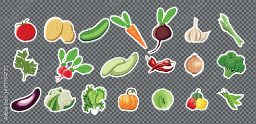 A big hand drawn set of vegetables on transparent background. Potato, Tomato, Cucumber, carrot, Chili Pepper and other