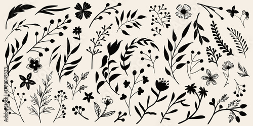 Collection of hand drawn black botanical elements and floral silhouettes on a light beige background