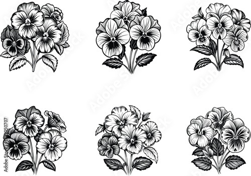 Elegant vector illustration featuring six distinct bouquets of stylized pansy flowers