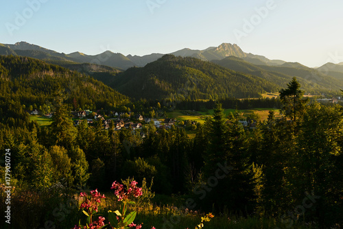 Beautiful, scenic view of Cyrhla village near Zakopane, Poland. Summer evening