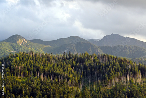 Fototapeta Naklejka Na Ścianę i Meble -  The peaks of High Tatra moutains. Beautiful, scenic view from Cyrhla village near Zakopane, Poland. Summer evening