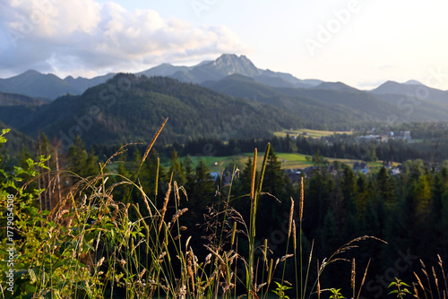 Fototapeta Naklejka Na Ścianę i Meble -  A beautiful mountain landscape near Zakopane, Poland. Mountain peaks and vegetation. A postcard from the Tatra Mountains.